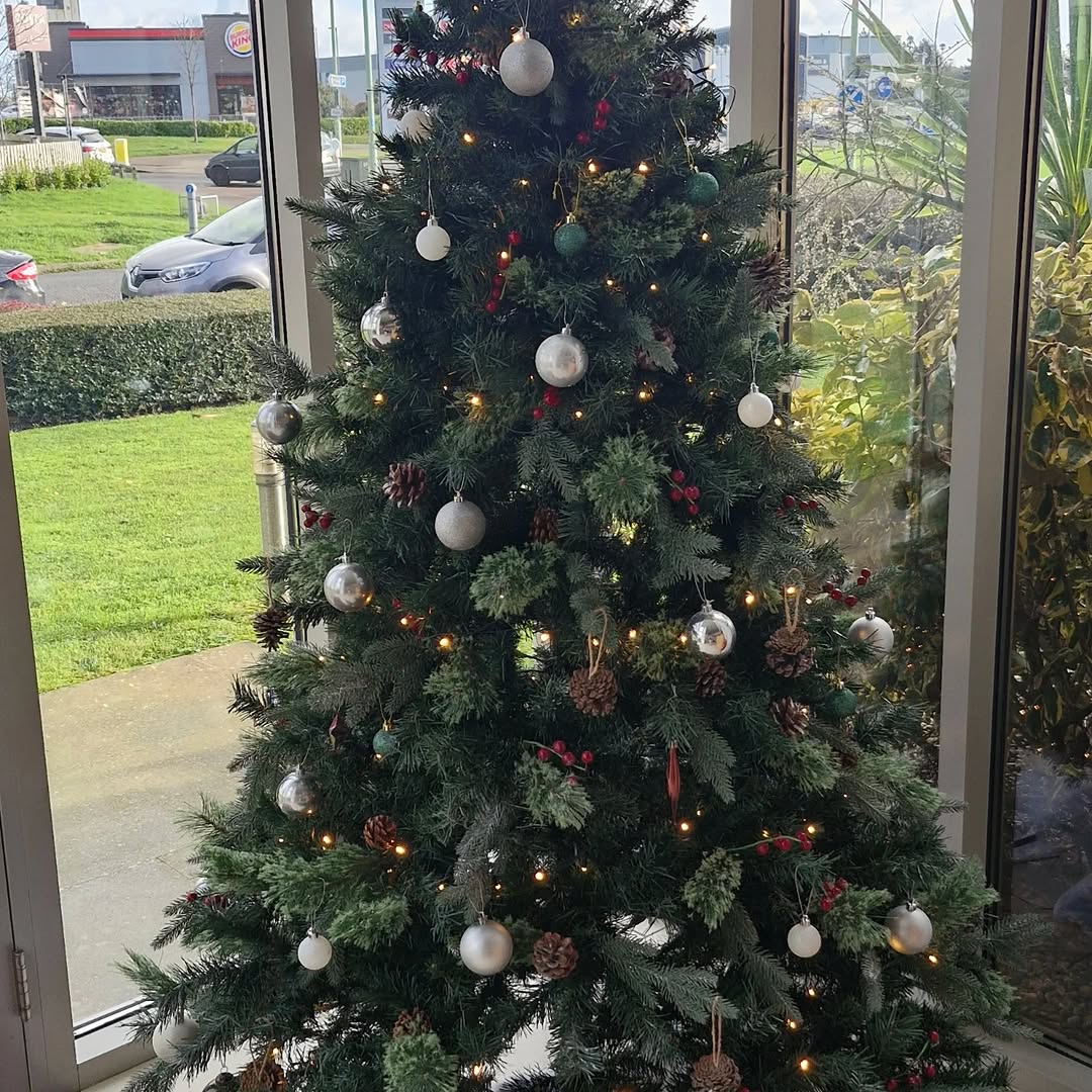 Development progress — homes nearing completion